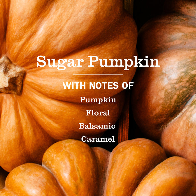 Sugar Pumpkin Dish Soap 3-count Bundle
