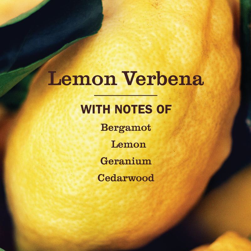 Mrs. Meyer's Lemon Verbena Liquid Hand Soap Refill