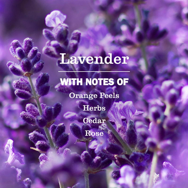 Mrs. Meyer's Lavender Fabric Softener
