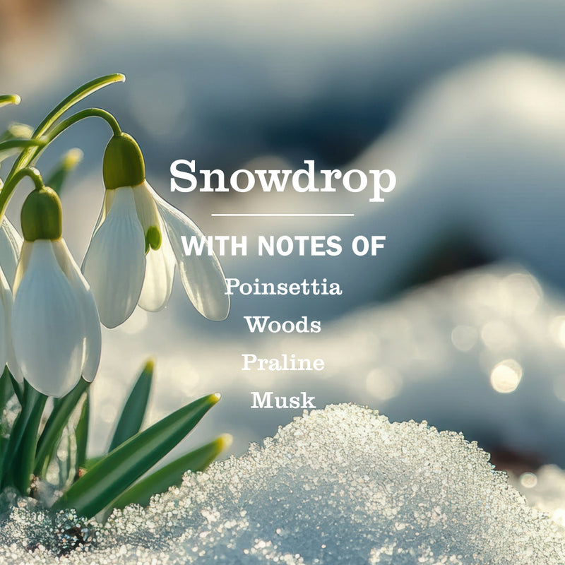 Mrs. Meyer's Snowdrop Multi-Surface Everyday Cleaner