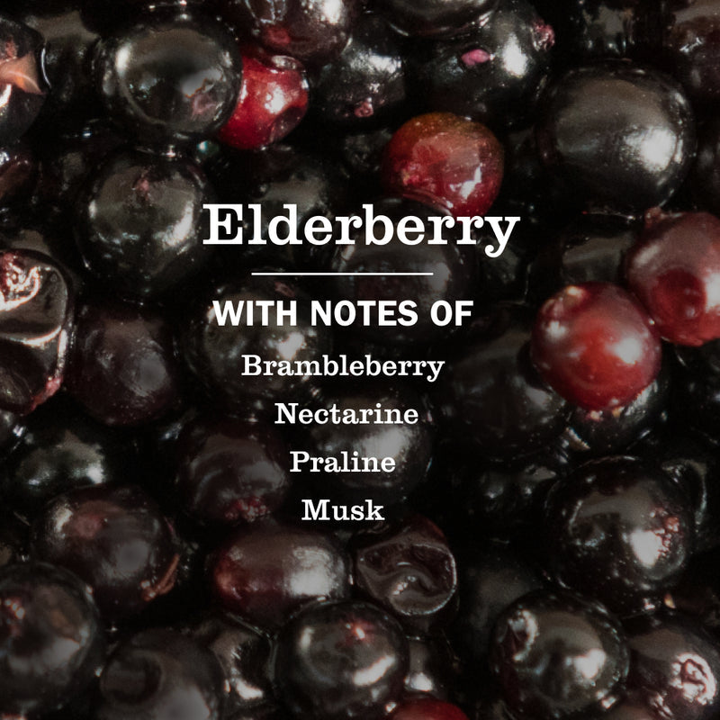 Elderberry Multi-Surface Everyday Cleaner 3-count Bundle