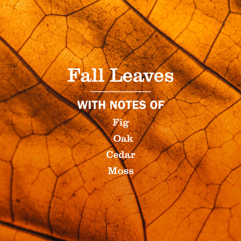 Mrs. Meyer's Fall Leaves Liquid Hand Soap