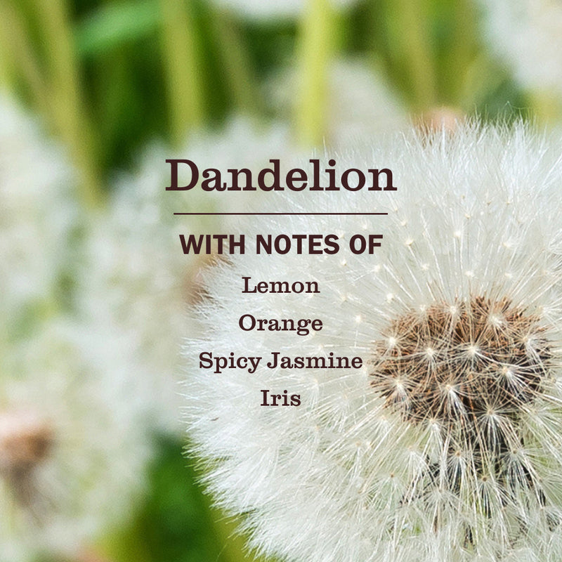 Dandelion Room Freshener