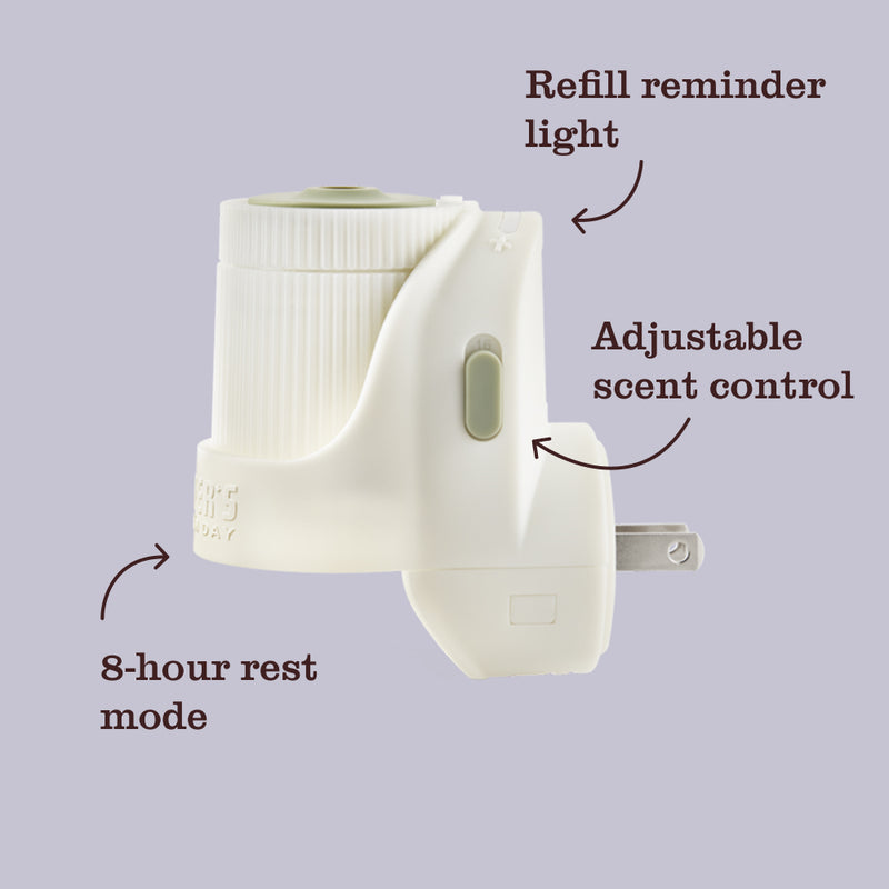 Acorn Spice Plug In Scented Oil Refill 2-Pack