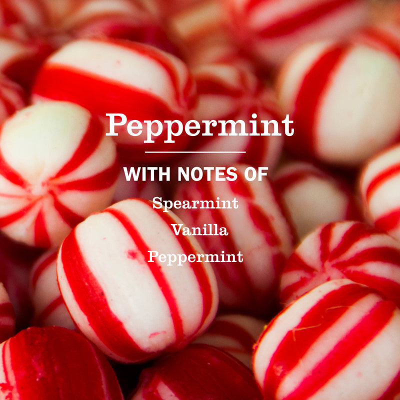 Mrs. Meyer's Peppermint Multi-Surface Everyday Cleaner