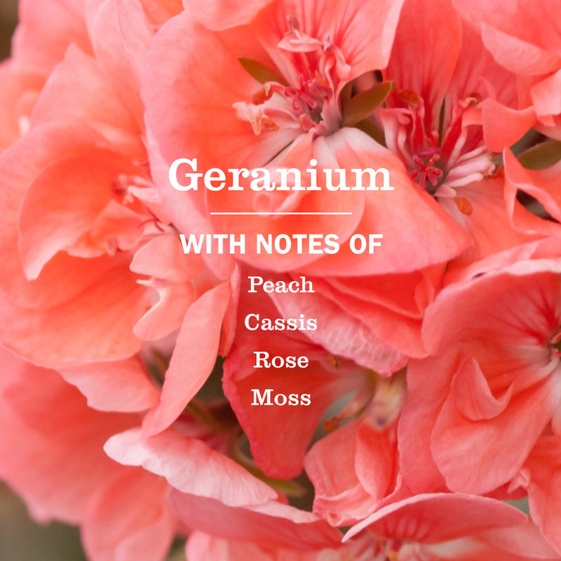 Mrs. Meyer's Geranium Multi-Surface Concentrate