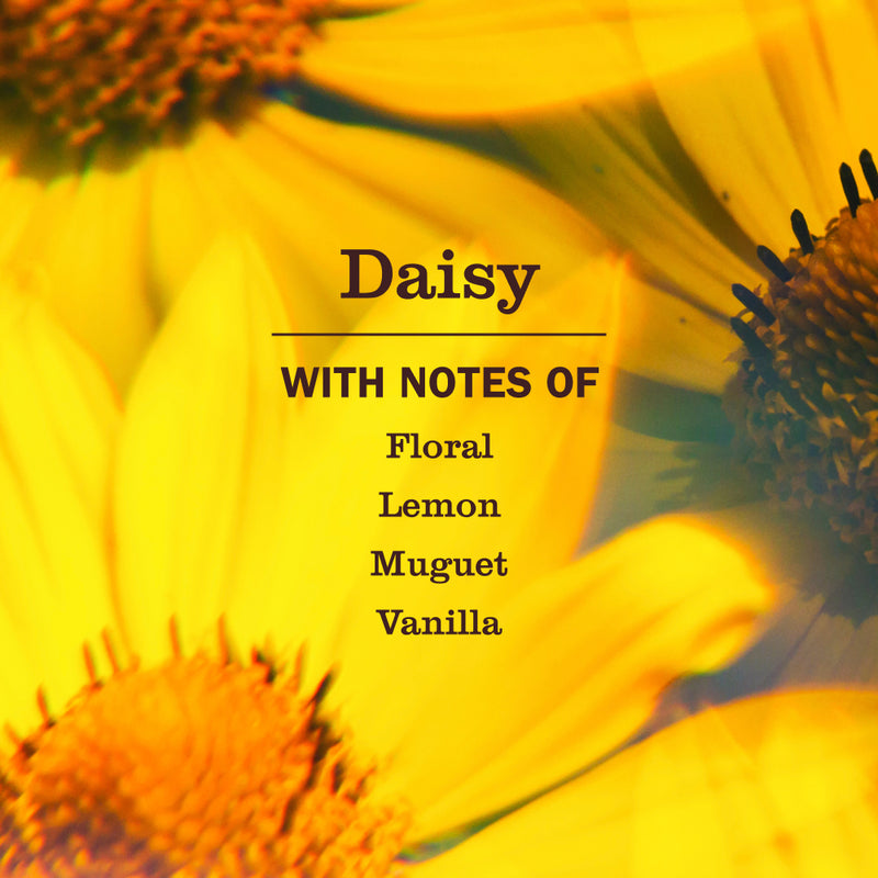 Mrs. Meyer's Daisy Kitchen Basics Set