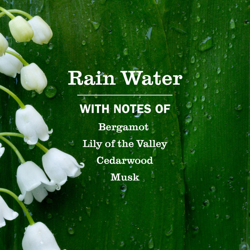 Mrs. Meyer's Rain Water Liquid Hand Soap