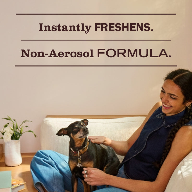 Gingerbread Room Spray: Non-Aerosolized Room Freshener | Mrs. Meyer's