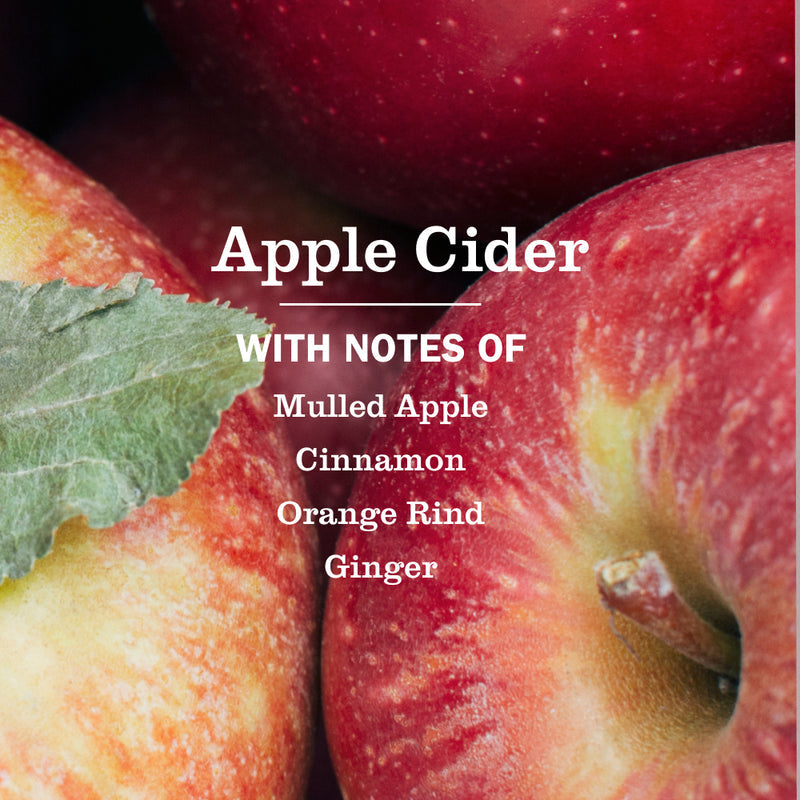 Mrs. Meyer's Apple Cider Kitchen Basics Set