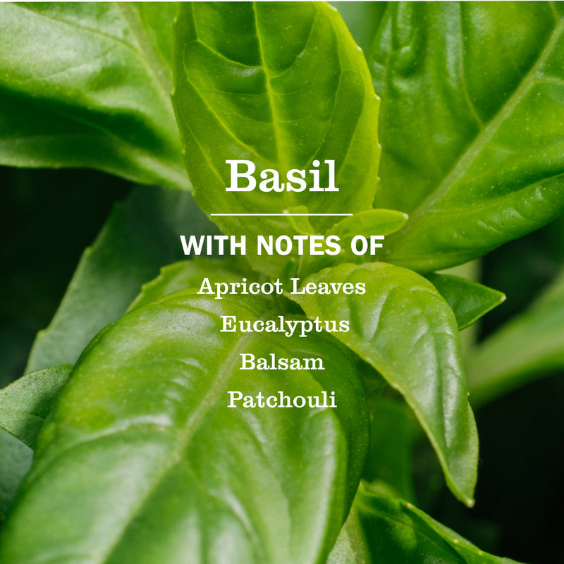 Mrs. Meyer's Basil Fabric Softener