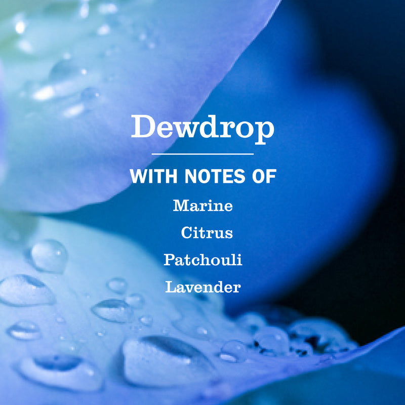 Dewdrop Multi-Surface Everyday Cleaner 3-count Bundle