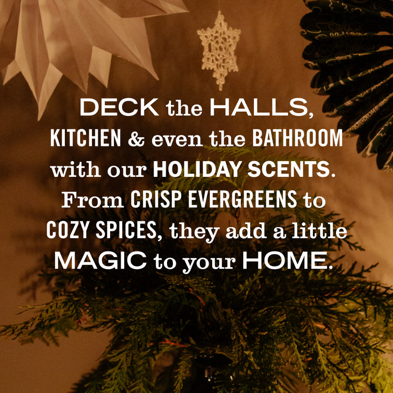 Mrs. Meyer's Holiday Seasonal Dish Soap Collection